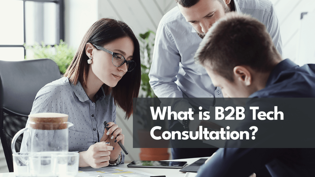 What is B2B Tech Consultation?